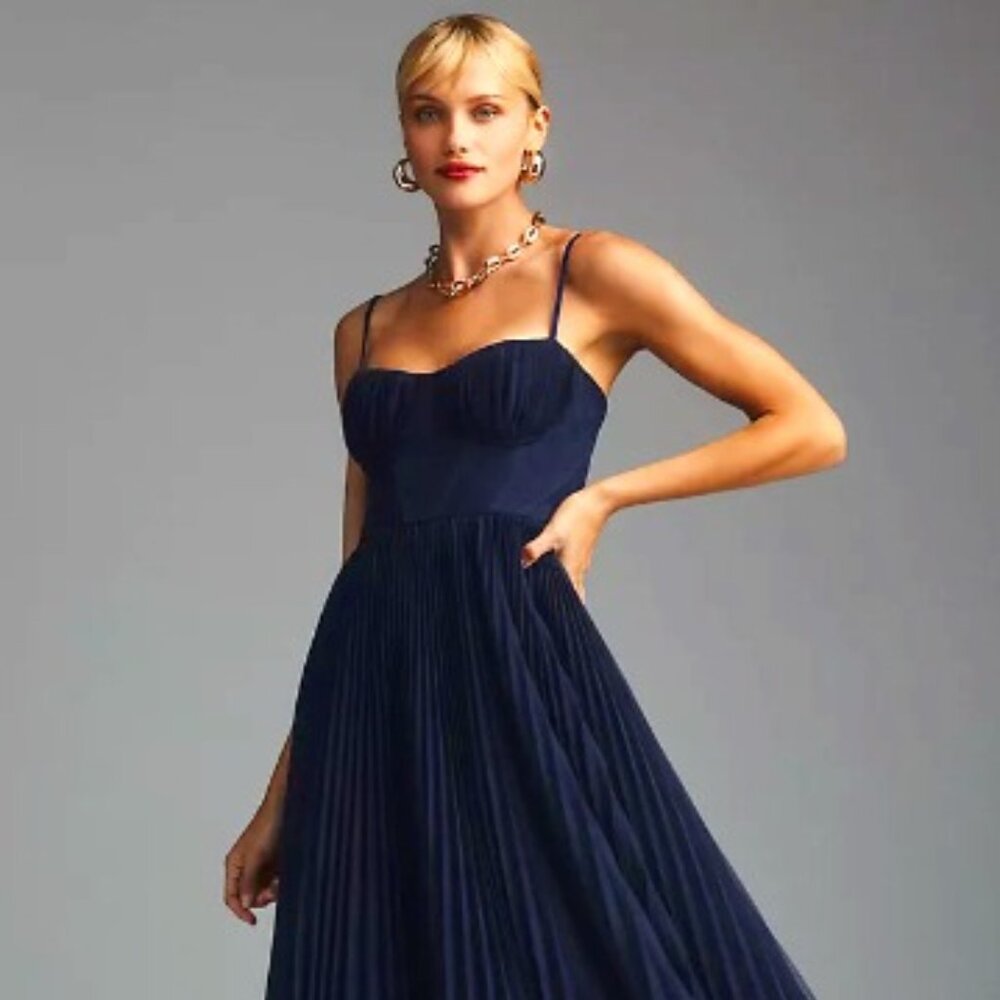 Hutch Amara Bustier Pleated Tulle Fit & Flare Midi Dress